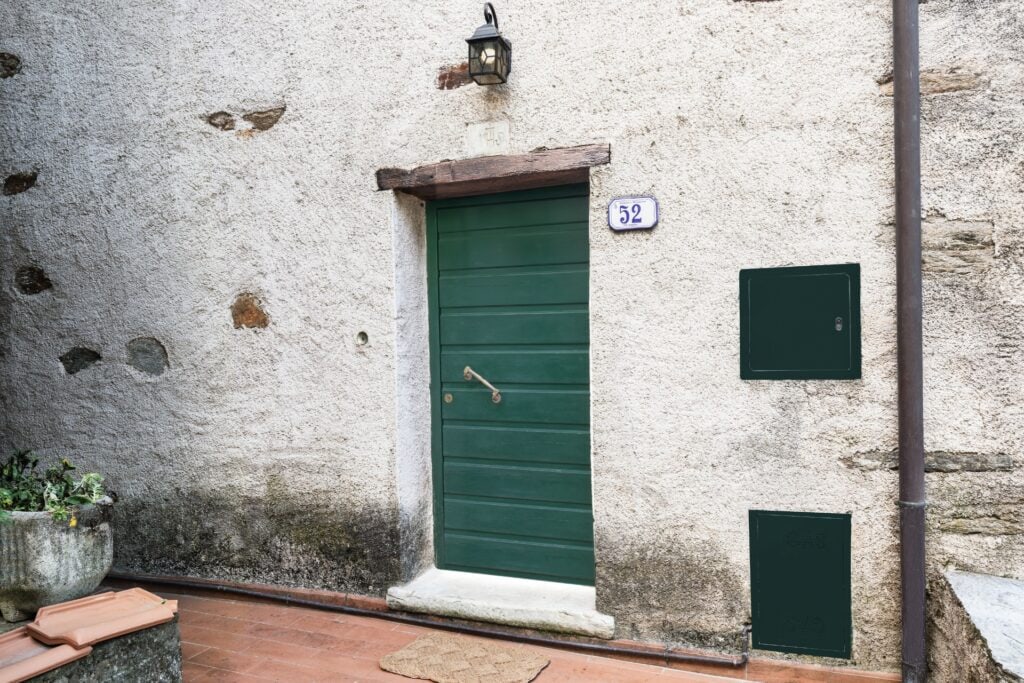 Dettaglio Ingresso Stella Alpina 2