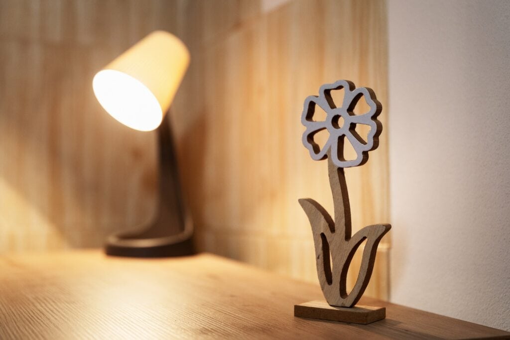 Dettaglio Lampada Stella Alpina 1